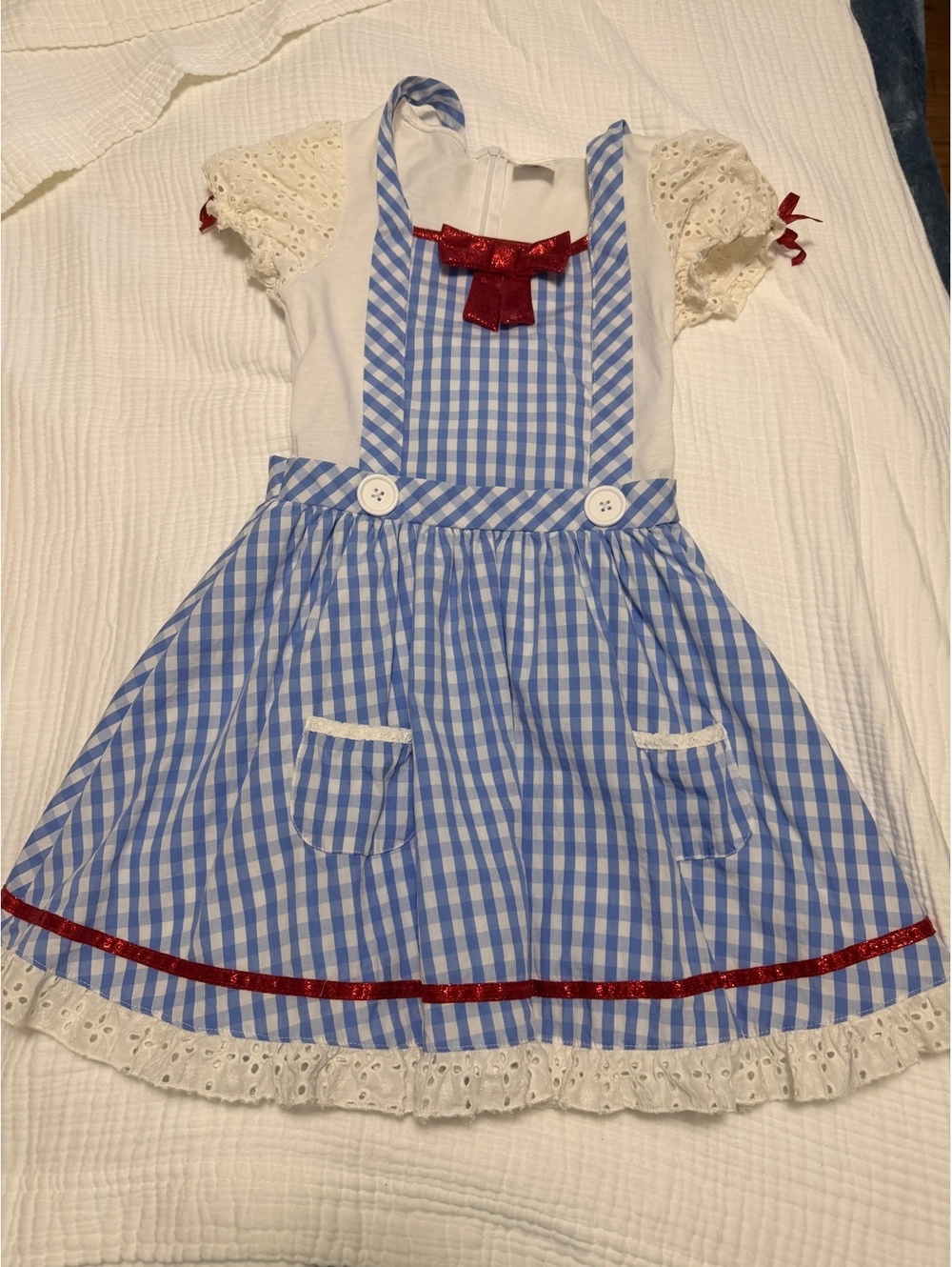 The Wizard of Oz Blue Gingham Dress with Red Bow and Lace Trim, Childs M - Picture 4 of 14